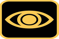 Blind & Visually Impaired (Category 1)